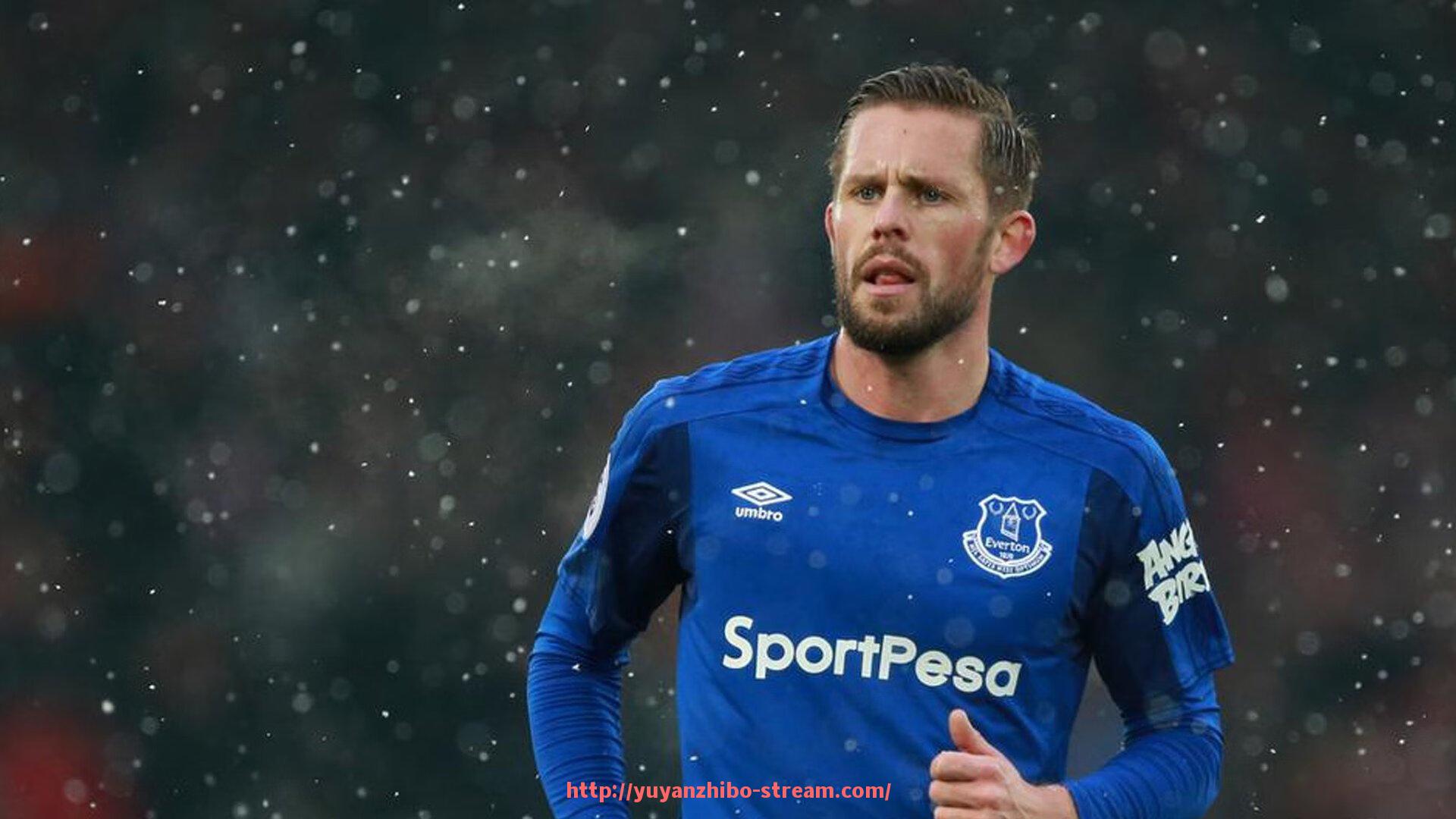 雨燕直播-国内健身器材种类大全及国产品牌发展状况