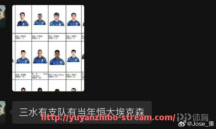 雨燕直播-法甲各支球队的logo设计风格体现了哪些文化符号？（法甲联赛logo）
