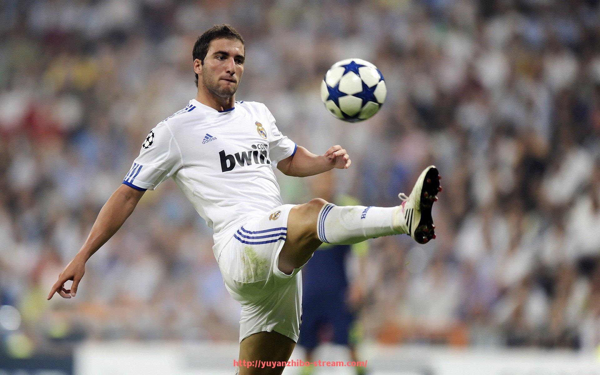 雨燕直播-划船健身器材配件购买指南：如何选择合适的配件提升训练效果